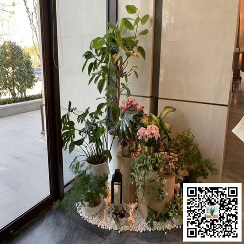 南京栖霞区案例