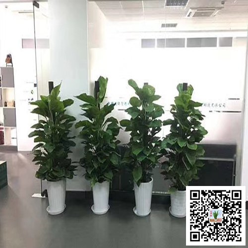 南京鼓楼区案例