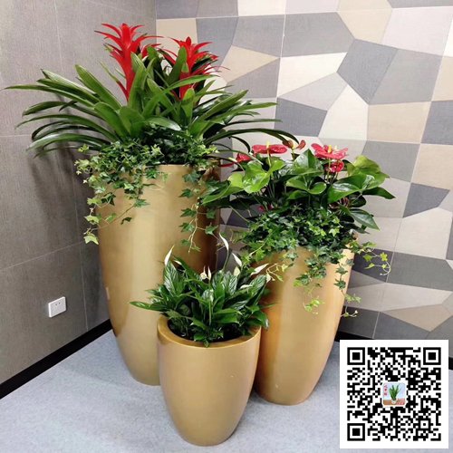 南京栖霞区案例