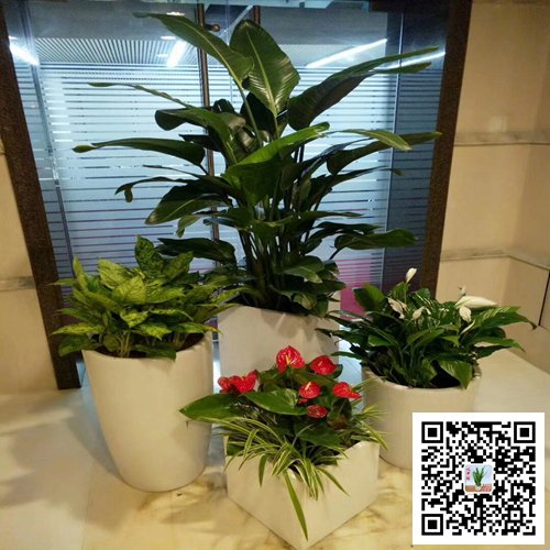 南京玄武区案例