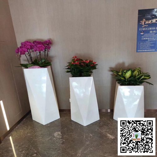 南京建邺区案例