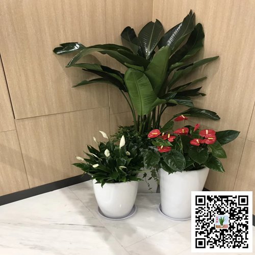 南京江宁区案例