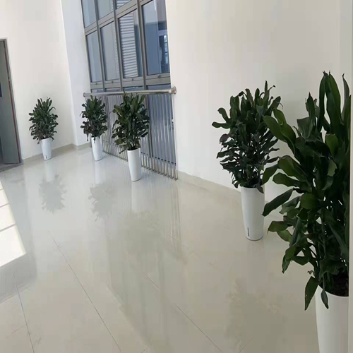 微信图片_2021120221281217.jpg