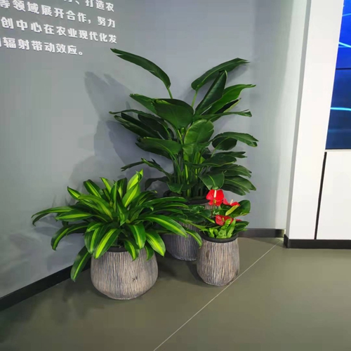 微信图片_2021120221362526.jpg