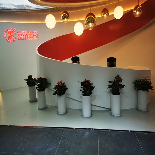 南京玄武区绿植租摆