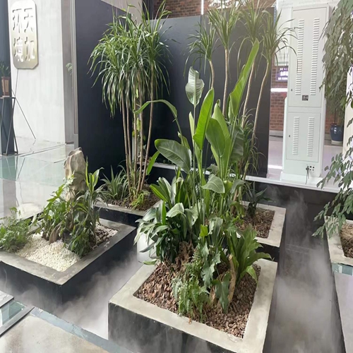 微信图片_2021120221362611.jpg